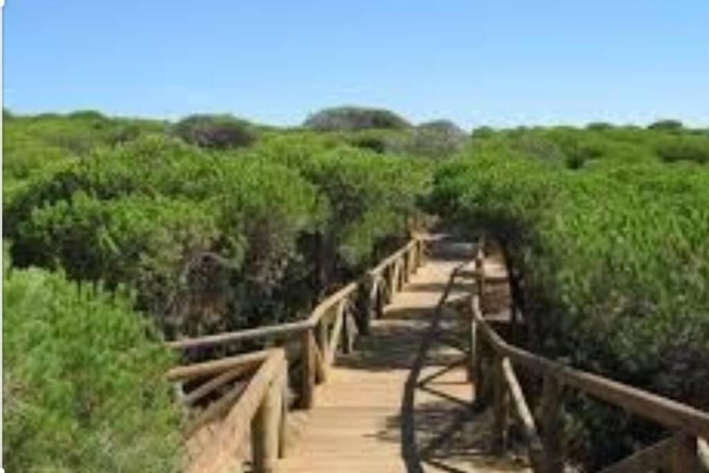 Appartamento Acogedor Apartamento A 100 M. De Pinares Y Playa Rota Esterno foto