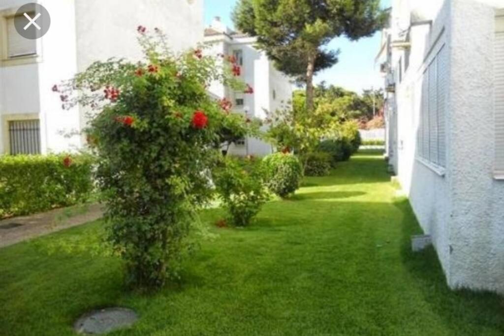Appartamento Acogedor Apartamento A 100 M. De Pinares Y Playa Rota Esterno foto