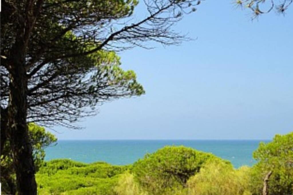 Appartamento Acogedor Apartamento A 100 M. De Pinares Y Playa Rota Esterno foto
