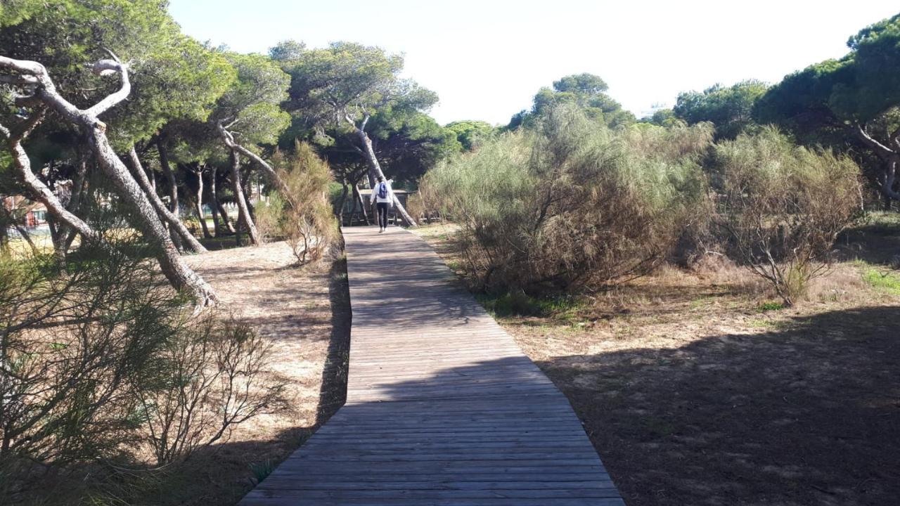 Appartamento Acogedor Apartamento A 100 M. De Pinares Y Playa Rota Esterno foto
